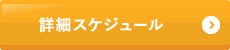 詳細スケジュール